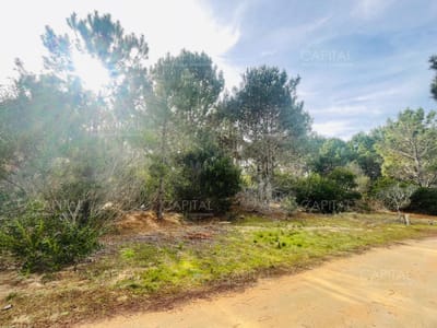 Barrio Privado en Jose Ignacio