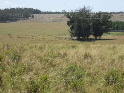 Lote en venta en Cerro Eguzquiza Ideal para barrio privado e inversionistas.