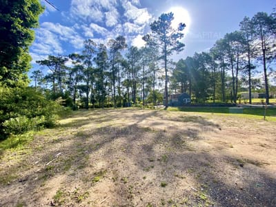 Lote en venta en Barrio Privado Punta del Este