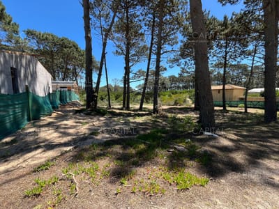 Terreno Pinar Del Faro José Ignacio