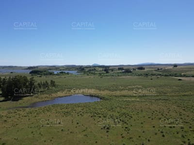 ESPECTACULAR CAMPO DE 124 has . LAGUNA DEL SAUCE