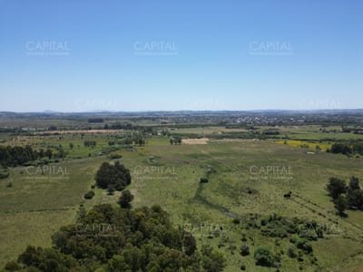 Campo  87 has , Ideal para fraccionamiento de chacras