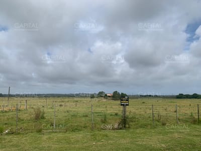 Chacra en Venta  Ruta 39 Maldonado