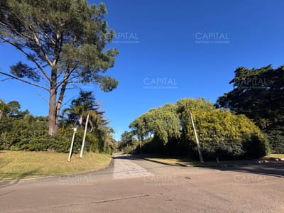 Lote En Barrio Golf Punta Del Este En Venta