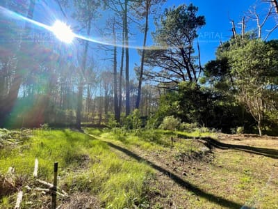 Oportunidad Lote en barrio cerrado Reserva Montoya La Barra