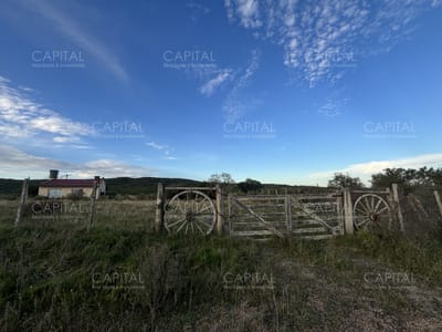 Oportunidad, Chacra en venta Pueblo Garzón (Frente a Bodega Garzón)