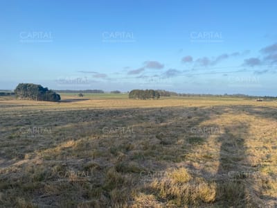 Chacra de 5 has sobre ruta 104 próximo a MACA ,Pueblo Mío, NARBONA La Plantación