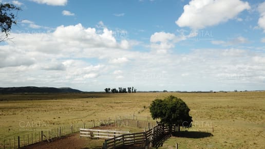 Campo Ganadero en Venta de 270 has en Aigua
