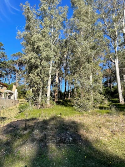 Lote en venta en barrio cerrado Reserva Montoya en La Barra próximo almar