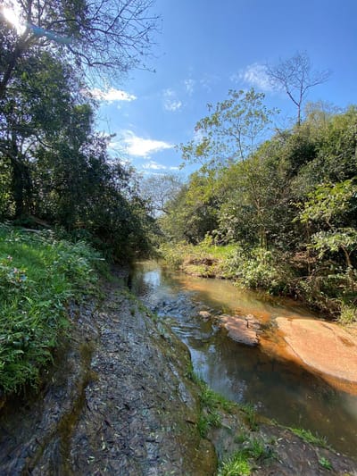TERRENO DE 5,3 HA EN PIRIBEBUY 