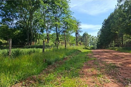 Venta de  CAMPO Agrícola en TAVARANGUE, JESÚS, ITAPÚA