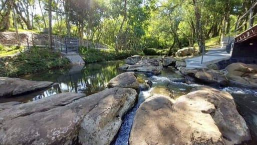 EN VENTA ESTABLECIEMIENTO DE 50 HECTAREAS PUERTO TRINIDAD CAMBYRETA 