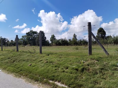 Alquiler de Terreno en Interbalnearia de 5.000 m2 