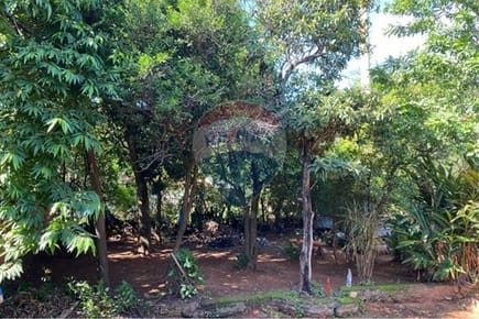 Terreno en San Lorenzo: ¡Construye Tu Hogar Ideal!