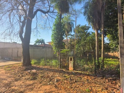 Terreno 391 M² Nivelado, Fdo. De La Mora Zona Sur