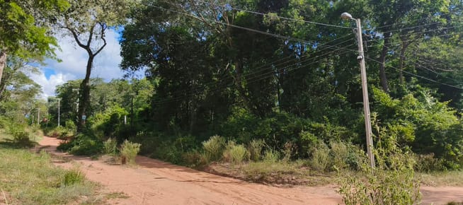 BAJA DE PRECIO!  *En venta amplio terreno en esquina en San Ber Cristóbal Colón