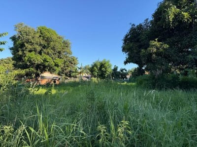Vendo Terreno para desarrollo inmobiliario Limpio-Mora Cué
