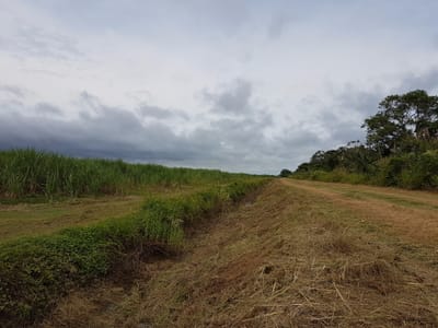 Propiedad Agropecuaria Cañera