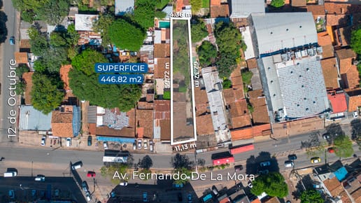 IMPORTANTE PROPIEDAD COMERCIAL SOBRE AVDA. FDO. DE LA MORA Y GRAL. SANTOS