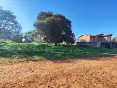 VENDO 3 TERRENOS JUNTOS EN LUQUE BARRIO CAMPO GRANDE!!