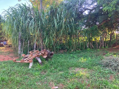 VENDO 2 LOTES PRECIO REMATE! EN AREGUA  BARRIO CAACUPEMÍ