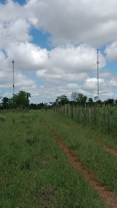 VENDO HECTAREAS EN CAAGUAZU A POCOS METROS DE LA RUTA