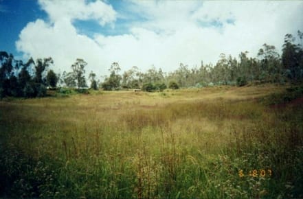 VENTA DE TERRENO EN CHACHAPOYAS