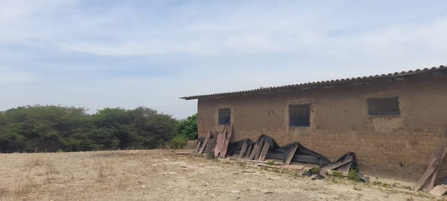 Vendo Parcela 51 Has En Tambogrande - Piura