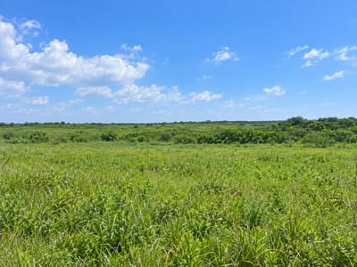 VENDO TERRENO EN ABAI CAAZAPA - 15 HECTAREAS