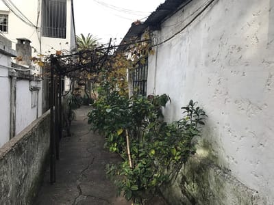 CASA BRAZO ORIENTAL MONTEVIDEO PADRÓN UNICO CA400002  4 DORMITORIOS 2 BAÑOS
