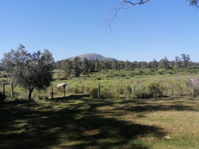 CHACRA PUEBLO OBRERO MALDONADO PUEBLO OBRERO CH101156