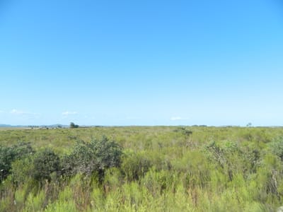 CHACRA ZONA RURAL MALDONADO  CH200942
