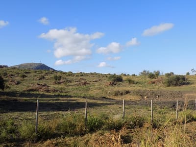 CHACRA PLAYA HERMOSA MALDONADO LOS NIETOS, AL LADO SUGARLOAF Y MUY CERCA PIRIAPOL CH300075