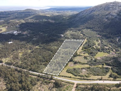 CHACRA FALDA CERRO PAN DE AZUCAR MALDONADO CHACRA EN RURA 37, PIRIÁPOLIS RURAL CH503037
