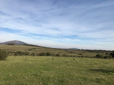 CAMPO PUEBLO GERONA MALDONADO A POCOS KM DE PAN DE AZUCAR CM300107