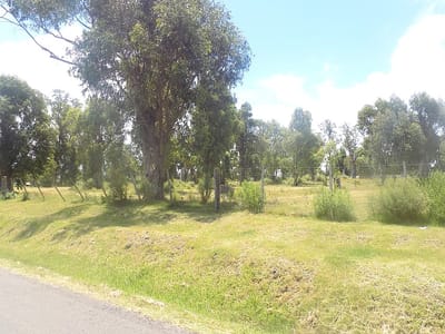 TERRENO CERRO DEL TORO MALDONADO CERRO DEL TORO TE100848