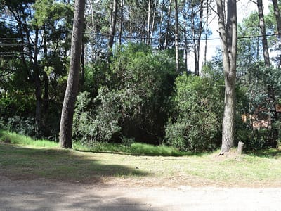 TERRENO COUNTRY MALDONADO TERRENO EN BARRIO COUNTRY TE101173
