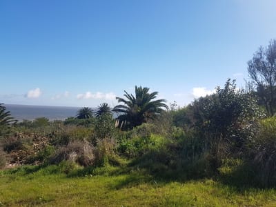 TERRENO CERRO SAN ANTONIO MALDONADO  TE500154