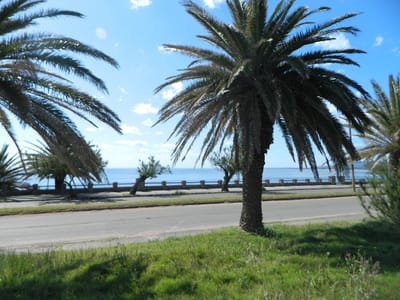 TERRENO PUNTA FRIA MALDONADO  TE500204