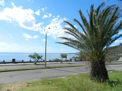 TERRENO PUNTA FRIA MALDONADO  TE500205