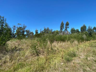 TERRENO BARRA PORTEZUELO MALDONADO  TE501014