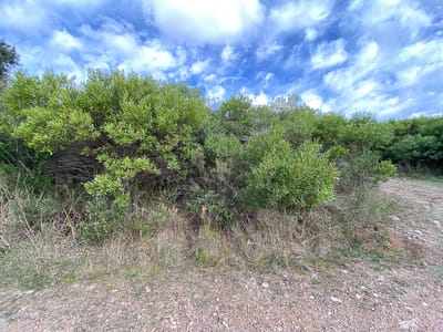 TERRENO PLAYA HERMOSA MALDONADO  TE501134