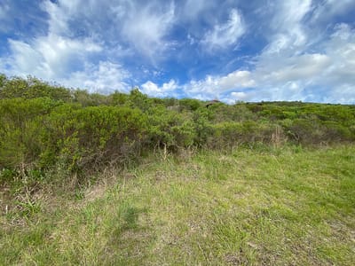 TERRENO PLAYA HERMOSA MALDONADO  TE501136