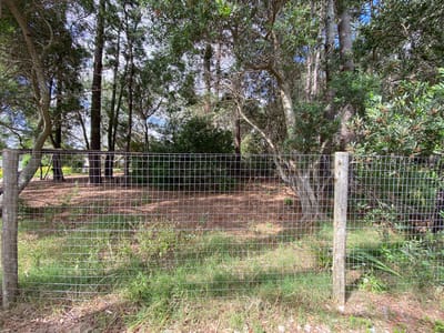 TERRENO COUNTRY MALDONADO  TE501429