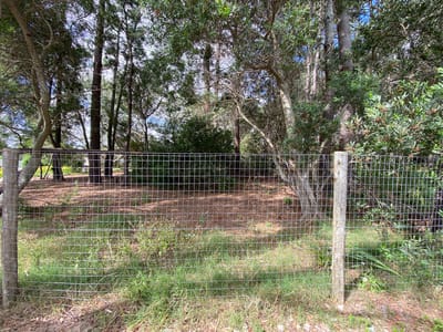 TERRENO COUNTRY MALDONADO  TE501433