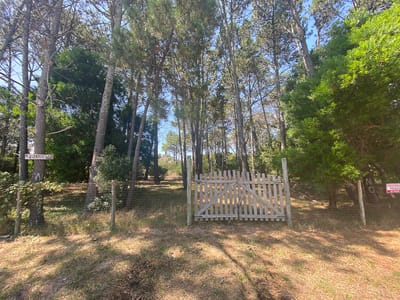 TERRENO COUNTRY MALDONADO  TE501488