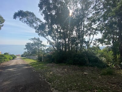 TERRENO CERRO SAN ANTONIO MALDONADO  TE501753