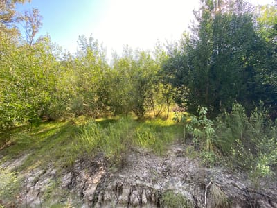 TERRENO BELLA VISTA MALDONADO  TE502126