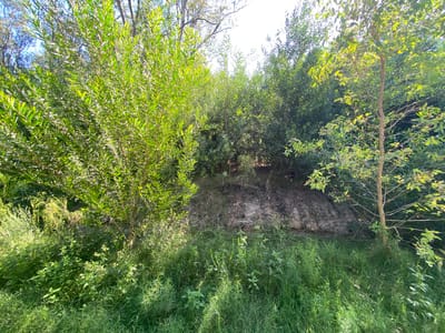 TERRENO BELLA VISTA MALDONADO  TE502127