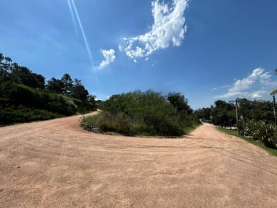 TERRENO PUNTA BALLENA MALDONADO  TE502138